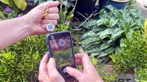 Joy of Plants key fob